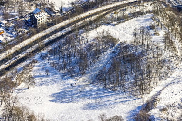 Aerial view, trees in the snow. in Volkspark, Essen-Bochold, Essen, Ruhr area, North