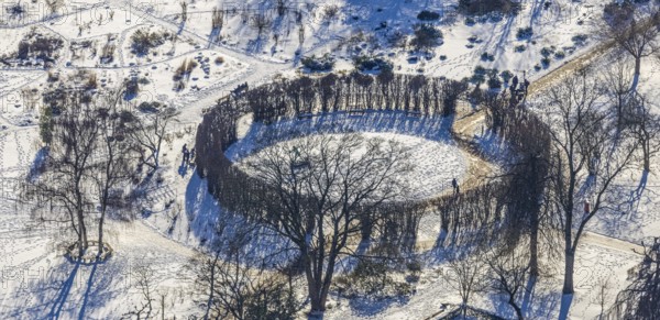 Aerial view, tree circle in Grugapark, Essen-Holsterhausen, Essen, Ruhr area, North