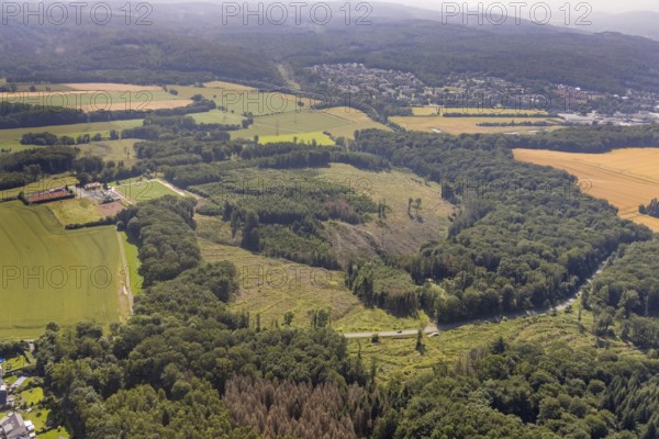 Aerial view, forest area Fürstenberg and Höinger Heide with forest damage, sports field Höingen,