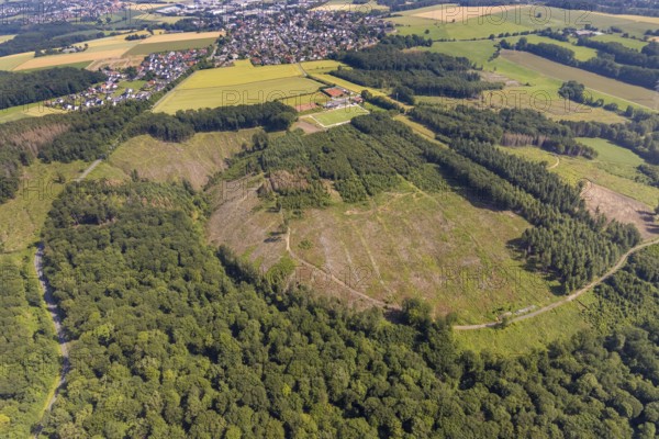 Aerial view, forest area Fürstenberg and Höinger Heide with forest damage, sports field Höingen,
