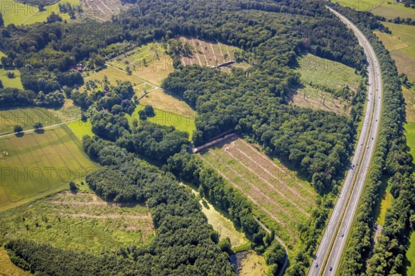 Aerial photo, Fürstenberg Füchtener Heide forest area with forest damage in Hünningen, Ense,