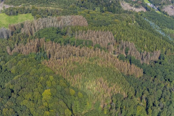 Aerial photograph, forest damage and forest dieback in the district of Rüggeberg in Ennepetal, Ruhr