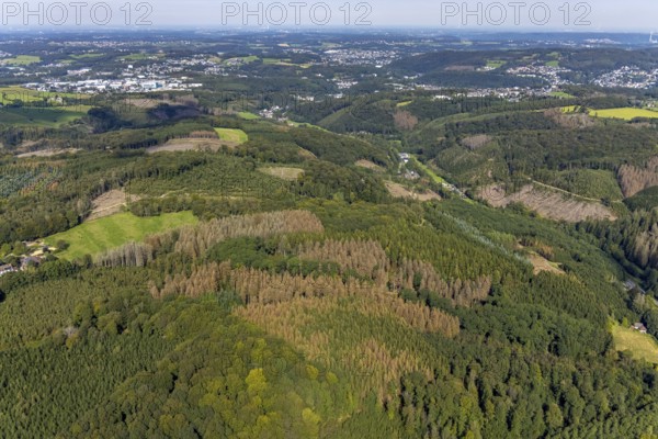 Aerial photograph, forest damage and forest dieback in the district of Rüggeberg in Ennepetal, Ruhr