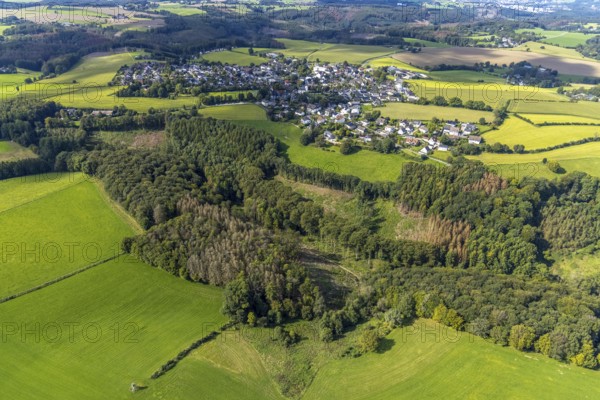 Aerial view, forest damage in the Rüggeberg district in Ennepetal, Ruhr area, North