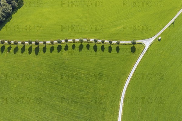 Aerial view, tree avenue Mittelhesterberg in the district Rüggeberg in Ennepetal, Ruhr area, North