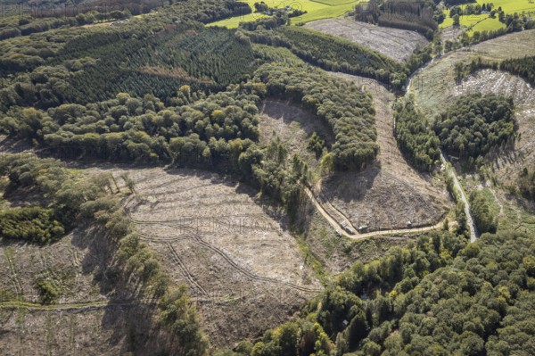 Aerial photo, forest damage in the Windgarten district of Ennepetal, Ruhr area, North