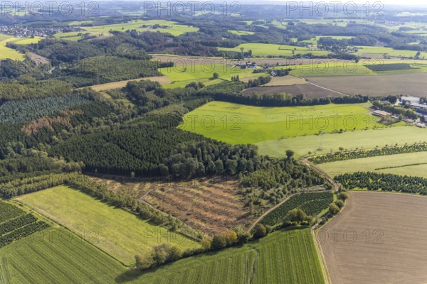 Aerial view, forest damage in the district Königsfeld in Ennepetal, Ruhr area, North