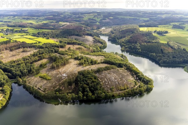 Aerial photo, forest damage at the Ennepetalsperre in the Altenbreckerfeld district of Breckerfeld,