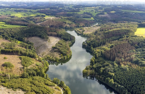 Aerial photo, forest damage at the Ennepetalsperre in the Altenbreckerfeld district of Breckerfeld,
