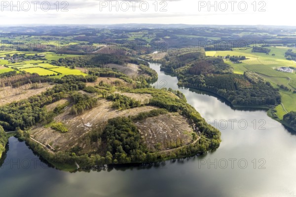Aerial photo, forest damage at the Ennepetalsperre in the Altenbreckerfeld district of Breckerfeld,