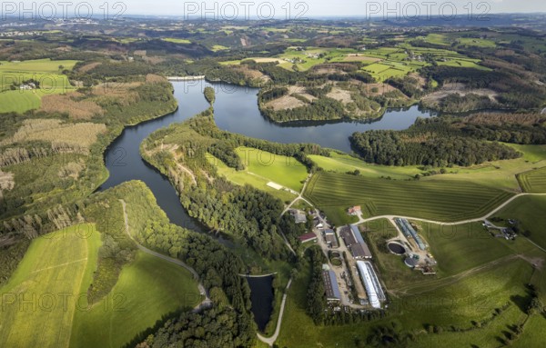 Aerial view, forest damage at the Ennepetalsperre dam with dam wall in the Altenbreckerfeld