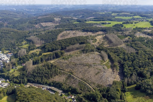 Aerial view, forest damage at the Talsperrenweg in the district Voerde in Ennepetal, Ruhr area,