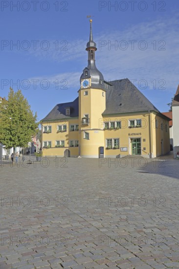 Renaissance town hall with ridge turret, castle, palace, Apolda, Thuringia, Germany