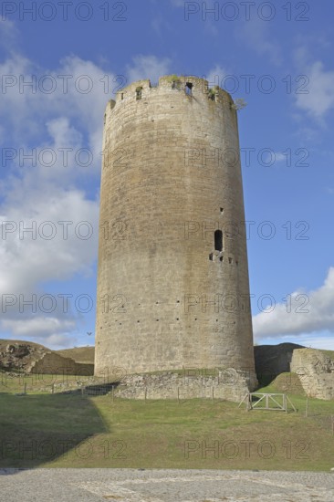 Inner courtyard with Dicker Heinrich, tower, Querfurt Castle, Romanesque Road, Saxony-Anhalt,