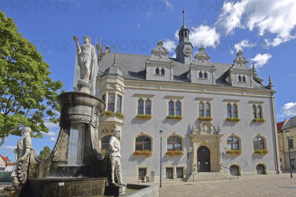 Market fountain with allegorical sculptures and town hall, market fountain, market square,