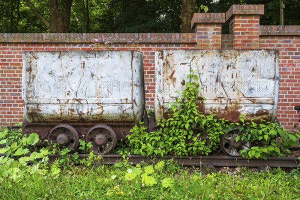 Plants in front of the wagon, coal wagon, railway wagon, LWL Museum, former mine, Hanover colliery,