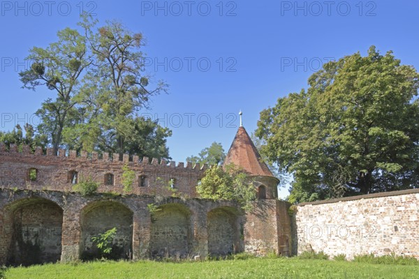 Historic town wall with defence defence tower, tower, town fortification, Dornburger Tor,