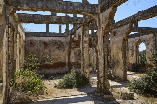 Ruined interior of a building with brick columns and wild vegetation, Old silk factory, German