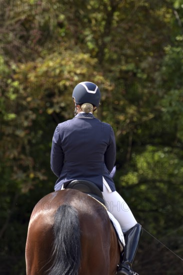 Close-up of horse and rider with equipment from behind during a dressage competition at a horse
