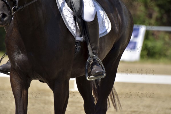 Close-up of a dressage test at a horse show with white dressage saddle pad, stirrups and riding