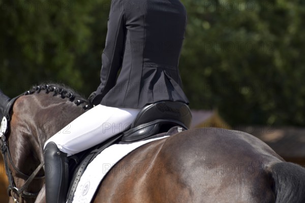 Close-up of horse's back, saddle and rider's seat during a dressage test at a horse show,