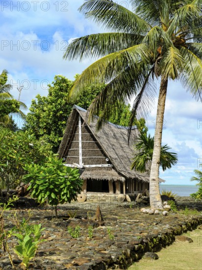 Traditional historical meeting house for men Tribal Chief Men Men's House between palm trees, in