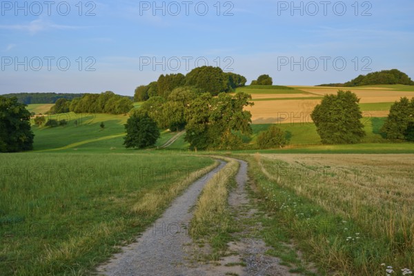 Rural country lane through yellowish fields and green hills, Laudenau, Reichelsheim, Odenwald,