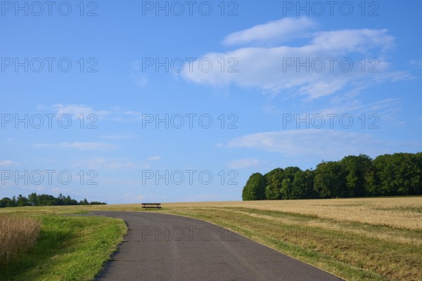 A tarmac path with a bench on the horizon, surrounded by fields and a blue sky with light clouds,