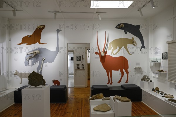 Exhibition rooms of the Jasper House Museum, Oranjemund, diamond restricted area, Karas region,