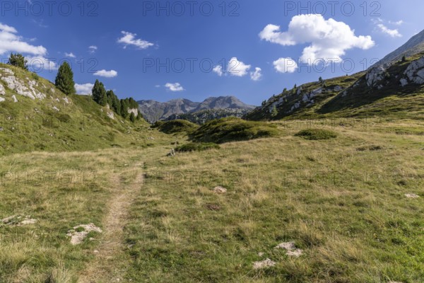Hiking trail, Alpe di Croce on the Lukmanier Pass, behind Pizzo Campo Tencia, Blenio, Ticino,