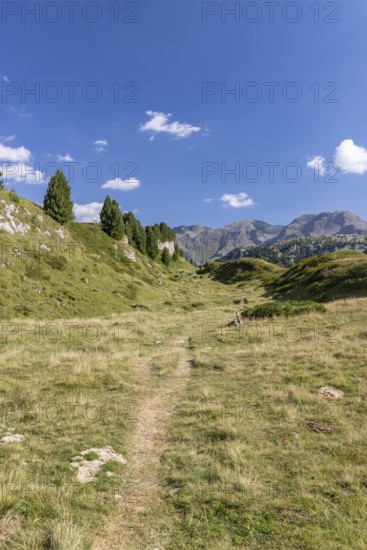 Hiking trail, Alpe di Croce on the Lukmanier Pass, behind Pizzo Campo Tencia, Blenio, Ticino,