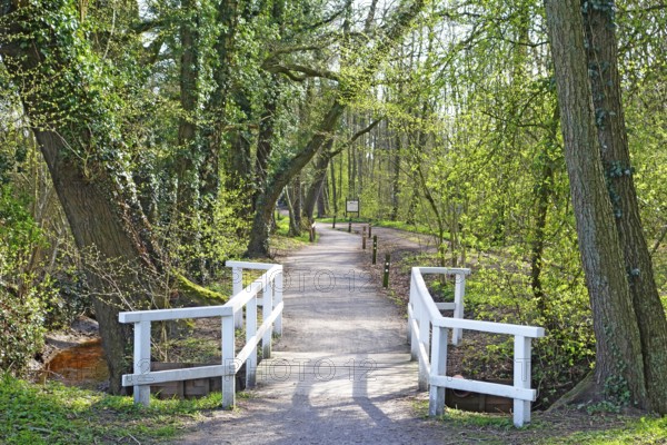 Idyllic promenade, avenue, small wooden footbridge, white railings, spring green, Lower Saxony,