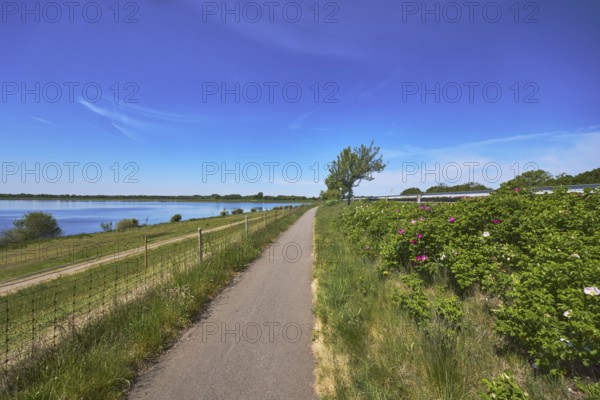 Alfsee reservoir, flood protection, flood retention basin, footpath and cycle path, fence, nature