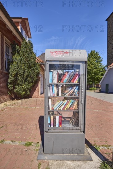 Book exchange box, street, general architecture, trees, clinker pavement, blue sky, cirrostratus