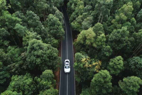 Aerial drone birds view of a lonely car on a highway going through the forest. Concept of