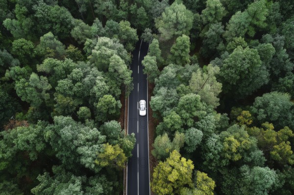 Aerial drone birds view of a lonely car on a highway going through the forest. Concept of