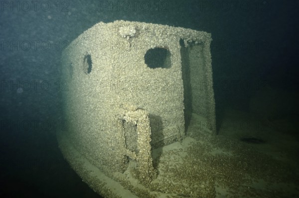Shipwreck covered with quagga triangle mussels (Dreissena rostriformis bugensis), invasive species,