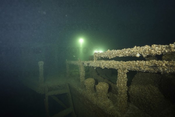 A shipwreck covered with quagga triangle mussels (Dreissena rostriformis bugensis), an invasive