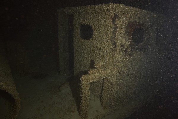 Old shipwreck covered with quagga triangle mussels (Dreissena rostriformis bugensis), invasive