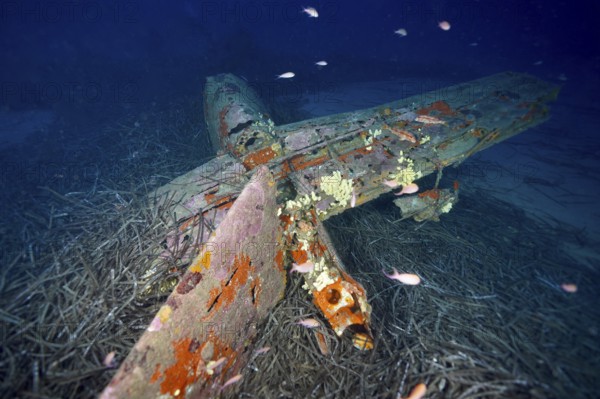 Old aircraft wreck on the seabed, covered with rust and marine growth. Dive site aircraft wreck