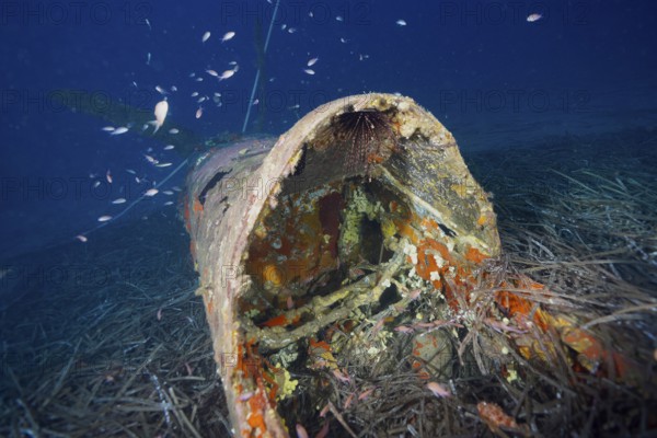 Underwater image of the cockpit of an aircraft wreck on the seabed. Dive site aircraft wreck