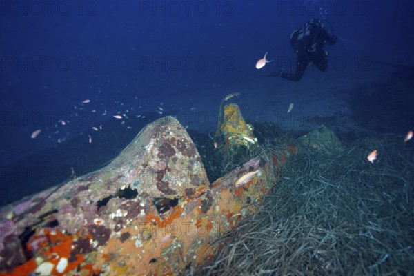 A diver explores an old aircraft wreck overgrown with marine vegetation. Dive site aircraft wreck