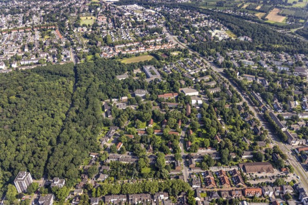 Aerial view, residential area with Kopernikus Gymnasium Walsum and comprehensive school Walsum in