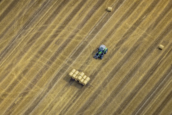 Aerial view, tractor harvesting grass, Mündelheim, Duisburg, Ruhr area, North Rhine-Westphalia,