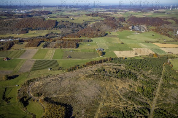 Aerial view, forest area with forest damage and wind farm in the background in the district of