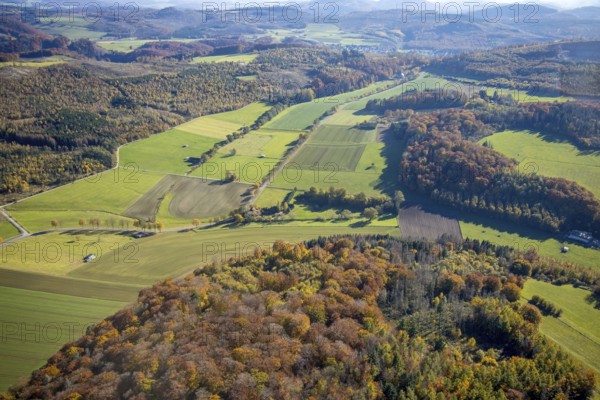 Aerial view, nature reserve Romberg forest area with forest damage in Brilon, Sauerland, North