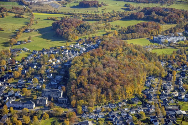 Aerial view, forest Drübel - nature reserve in autumn colours and vehicle registration office