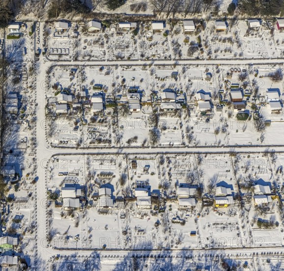 Aerial view, Buschmühle Westfalenpark, Gartenverein Am Neuen Hain, Ruhrallee, Dortmund, Ruhr area,