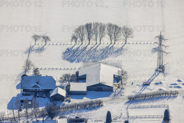 Aerial view, trees and house in the snow at Sölder Kirchweg, Sölde, Dortmund, Ruhr area, North