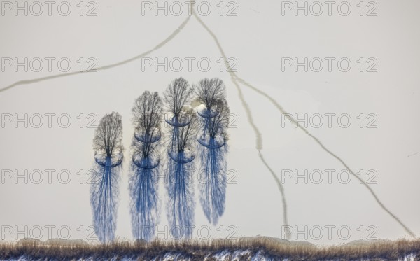 Aerial view, snow-covered trees in Phoenix Lake, Hörde, Dortmund, Ruhr area, North